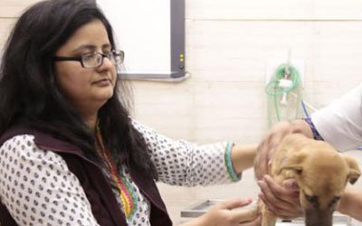 Dr. (Mrs.) Premlata Choudhary